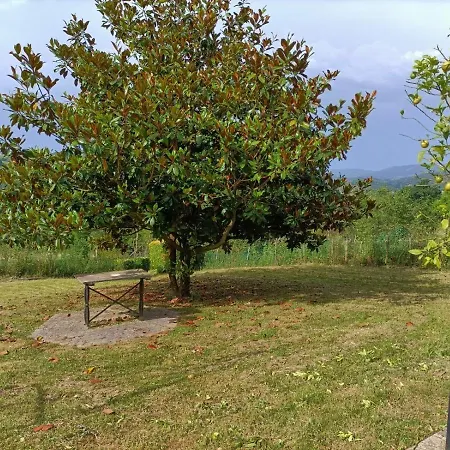 Casita En El Campo. Mil Estrellas 펜션 Rucandio